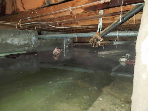 Best Sewage cleanup and water damage restoration  in Vinings, GA