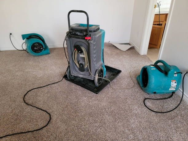 Best Flooded house restoration  in Vinings, GA