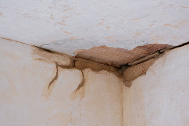 Best Water damage repair service  in Vinings, GA