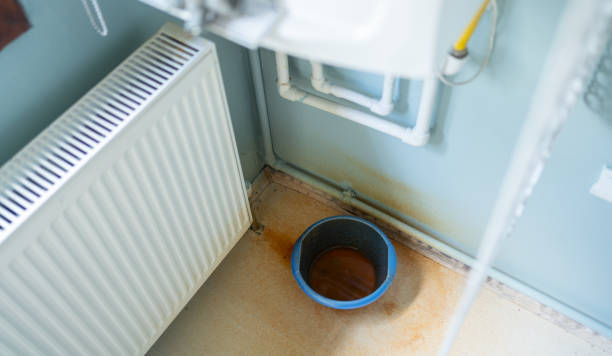 Best Mold removal after water damage  in Vinings, GA