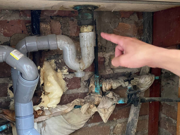 Best Professional water damage repair  in Vinings, GA